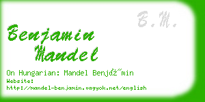 benjamin mandel business card